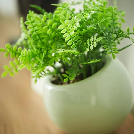 Apartament SkyTravel 27 Apartament Pileckiego Nowy Dwór Mazowiecki Airport Modlin 24H